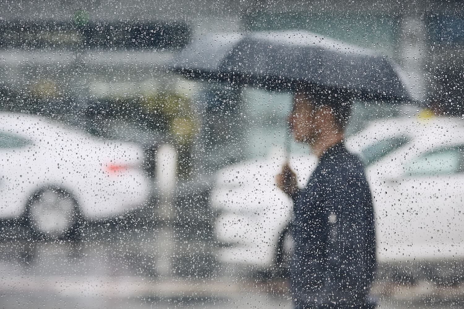 台風予測